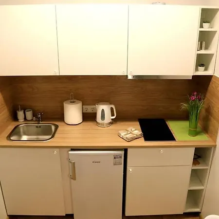 Bright Apartment,for 1-4,near Old Town Apartament Wilno